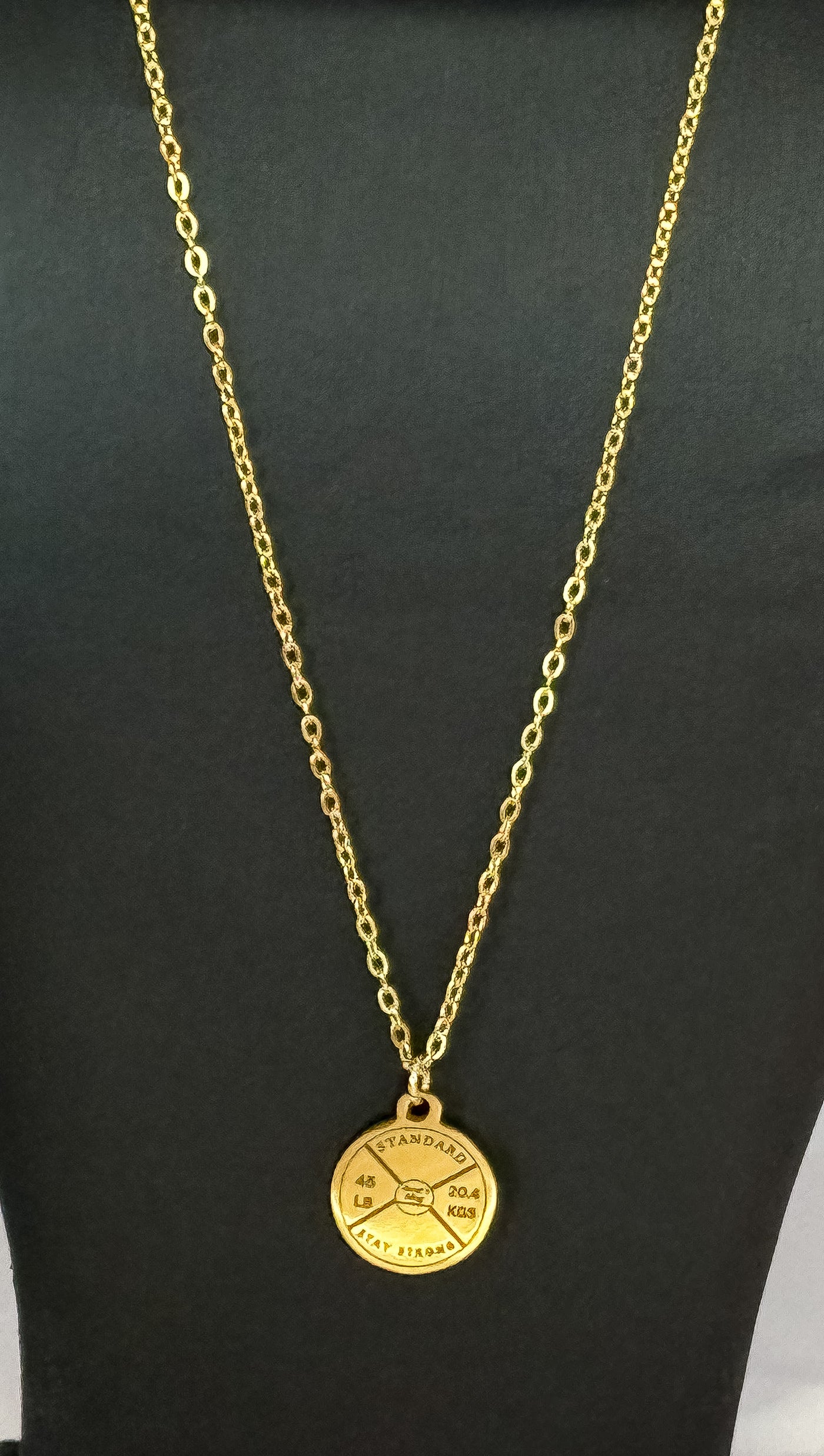 Gold Plated Stainless Steel 45 LB Weight Plate Necklace 18 inch Necklace